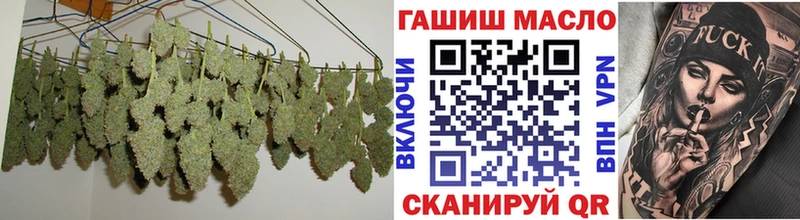 Купить закладки  Острогожск  ТГК гашишное масло 